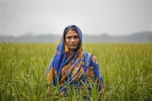 In this Nov. 17, 2015 photo, Saleha, 38, who lost her land to river erosion, stands in a field that she farms with her husband in exchange for a place to stay in the island district of Bhola, where the Meghna River spills into the Bay of Bengal, Bangladesh. A study in November suggested 470 million to 760 million people worldwide could lose their land to rising seas if global warming is allowed to continue unbridled, according to work by scientists at Climate Central, a nonprofit research and news organization. (AP Photo/Shahria Sharmin)
