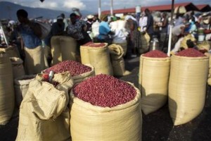 Haiti Peanut Glut