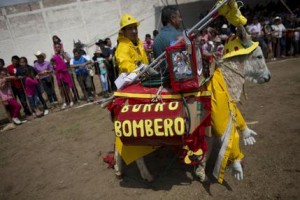 Mexico Donkey Fair Photo Gallery
