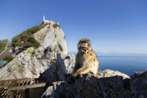Spain Gibraltar Brexit