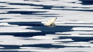 Battle for the Arctic